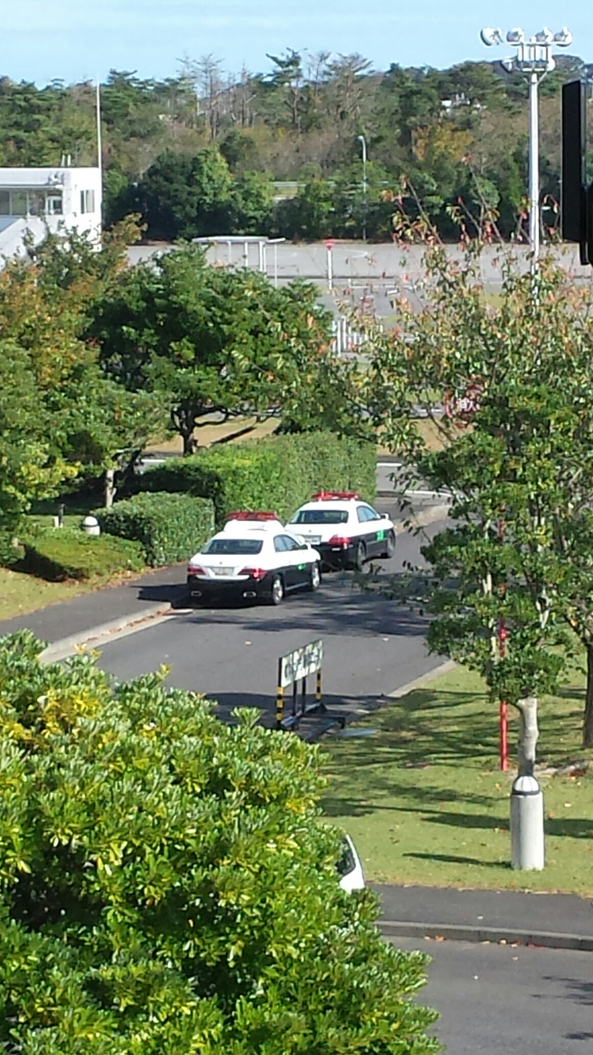 20141016_134335.jpg image