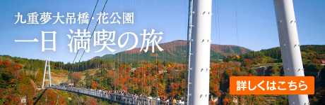 九重夢大吊橋・花公園 一日 満喫の旅