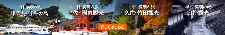 別府地獄・湯けむり 半日 満喫の旅
