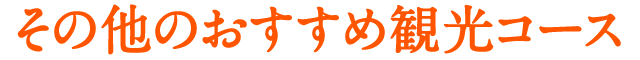 その他のおすすめ観光コース