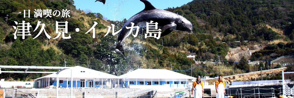 半日満喫の旅 津久見・イルカ島
