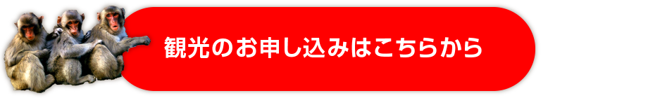 観光のお申し込みはこちらから